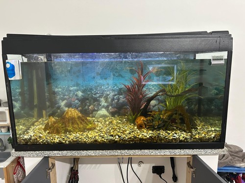 acquario 350 litri