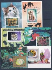 Animali, Gatti, Pesce, Uccelli