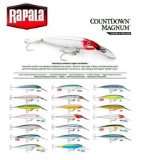 ARTIFICIALE TRAINA RAPALA