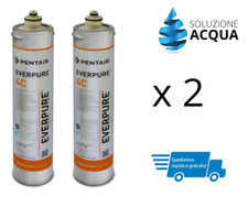 FILTRO EVERPURE 4C EV960100 CARTUCCIA ANTIMICROBICA DEPURATORE ACQUA 2 PEZZI