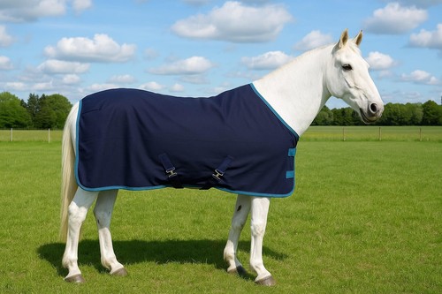 Nuovo horsemasters lenzuolo - nuovo,