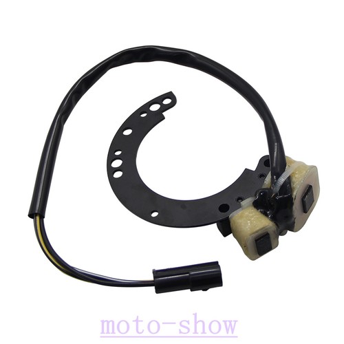Statore fuoribordo carburatore - statore,