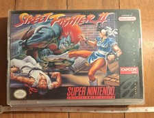 Street Fighter II: The World