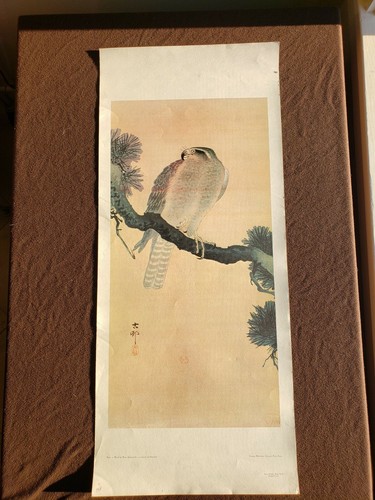 Litografia giapponese falco - giapponese, di