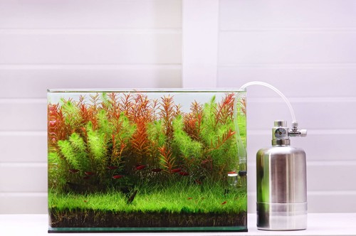 Natureholic generatore co2 - di,