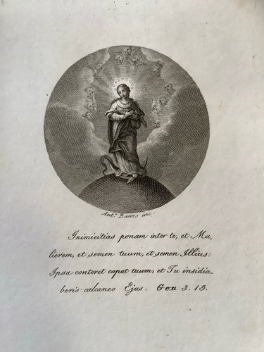 Madonna immacolata concezione - madonna,
