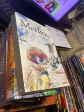 LIBRO  -  LUISA MATTIA - MERLINO - IL CERCHIO DEL FUTURO