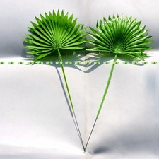 40 cm 20 pezzi realistica