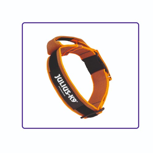 Julius collare cane arancio - julius-k9,