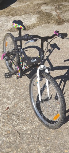 b'Twin bicicletta nera 6