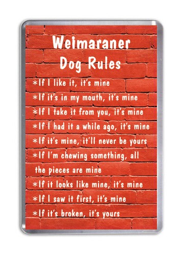 Weimaraner dog rules - weimaraner,