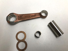 2100007 Biella Polini  ALBERO