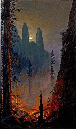 Yosemite forest fire jules - forest,