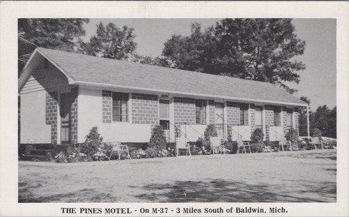 The pines motel mi s - motel,