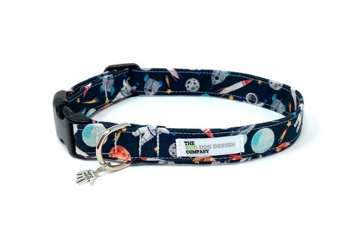 Collare per cani - collare,