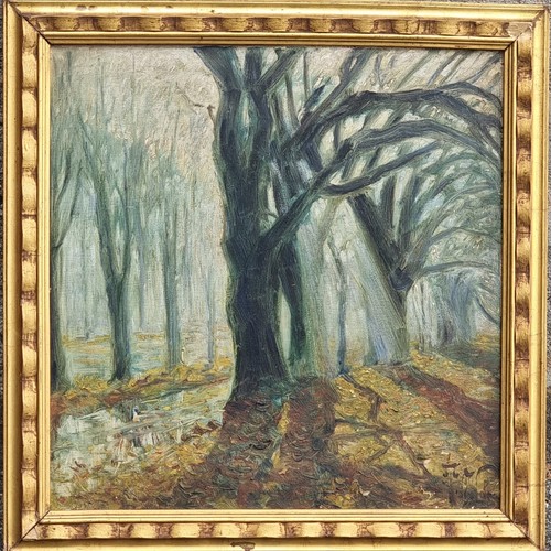 Tommaso della volpe - tommaso,