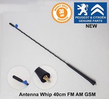 Base antenna radio tetto
