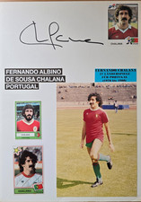 Fernando Albino de Sousa