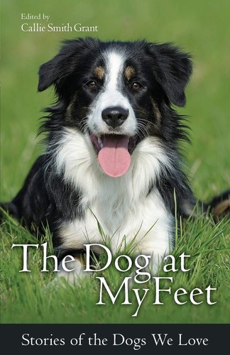 The dog feet - the, feet: