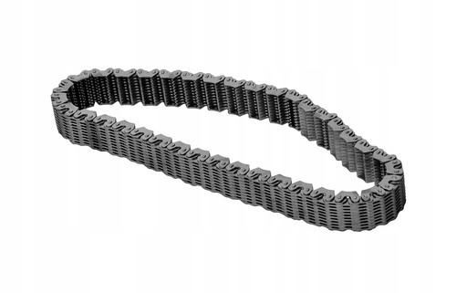 Catena cambio distribuzione