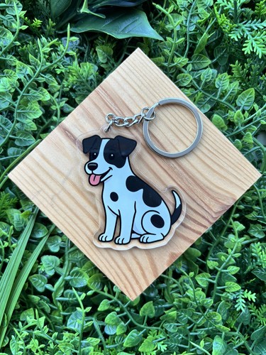 Jack russell terrier - russell,