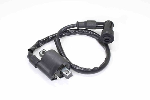 Bobina accensione am6 cc - bobina,