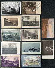 ?11 Belle Cartoline di Pecore?Muli?Cavallo Galline?Oche Greggi Pollaio 1900