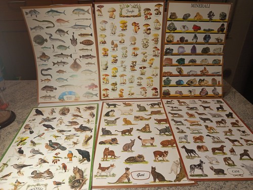 Set tavole didattiche - 6,