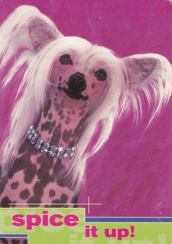 Cartolina cinese con cane