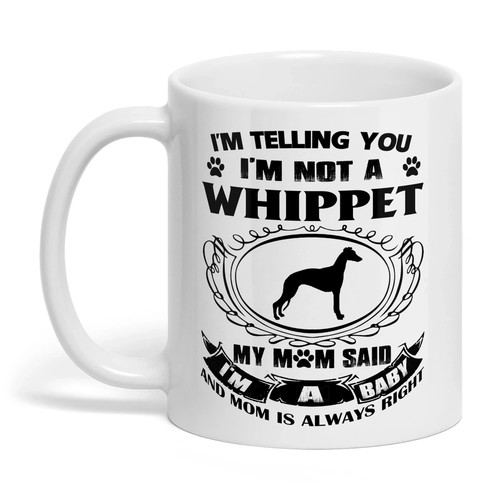 Whippet dog inglese - whippet, dog,