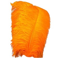 Piume Struzzo,3Pezzi arancione