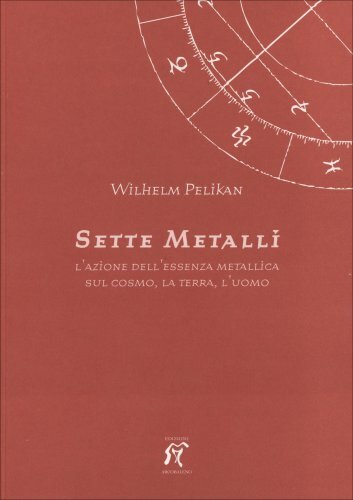 Libro sette metalli wilhelm - sette,