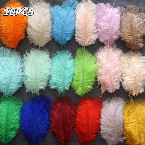 Pezzi piume struzzo - pezzi,