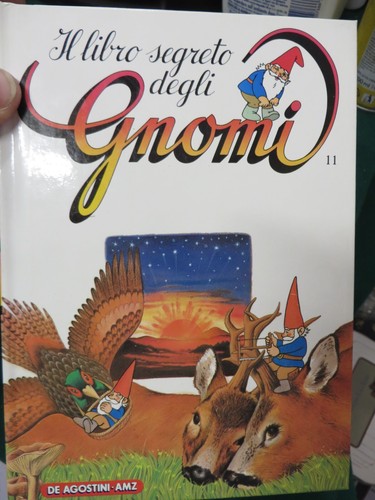 Book libro - libro,