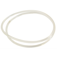 Cinghia, Leslie, 31"