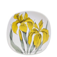 Piatto Arabia Botanica Iris