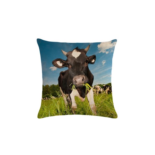 Hches federa per cuscino - hches,