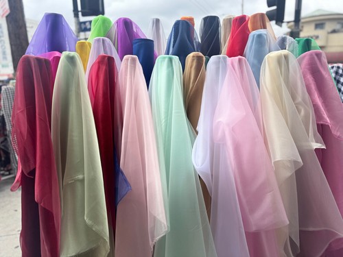 Tessuto organza trasparente