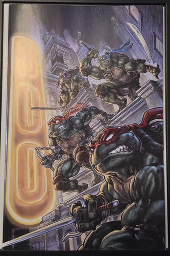 Teenage mutant ninja turtles - teenage,