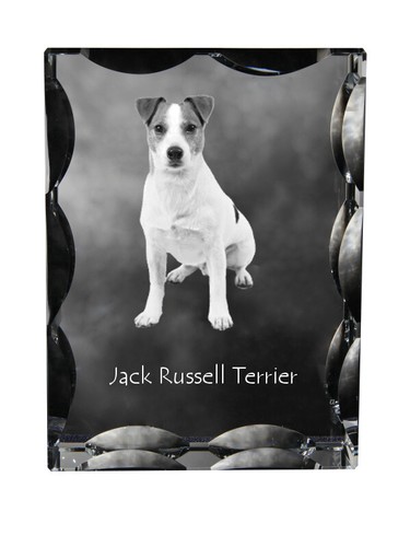 Jack russell terrier - jack, cristallo