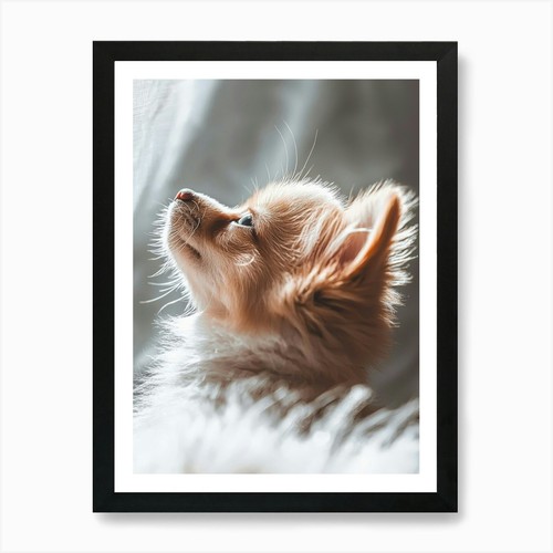 Chihuahua generata quadro - chihuahua., ai