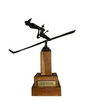 PIETRO TRIVILINO SCIATORE