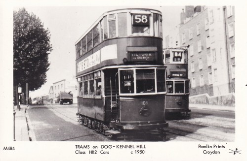 Trams dog kennel - kennel, hill