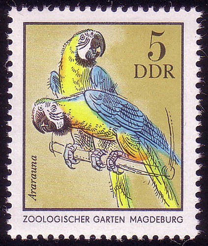 Animali dello zoo 2030 - , 5