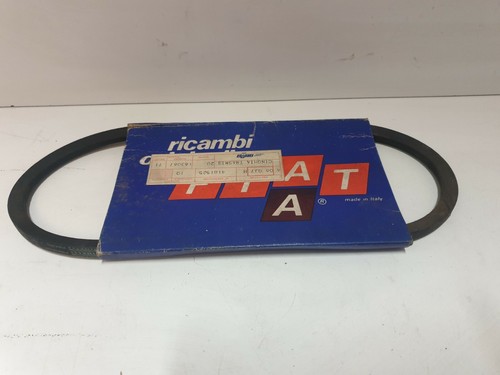 Cinghia alternatore