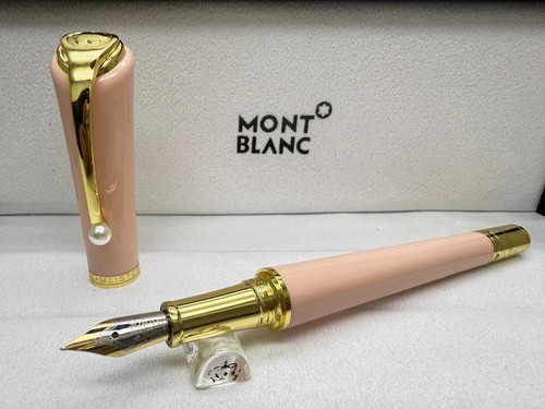 Penna stilografica premium - penna,