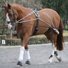 HM Cavallo Pessoa sistema di