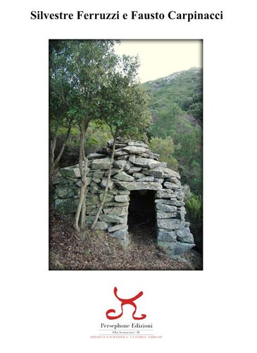 Libri silvestre ferruzzi - libri, /