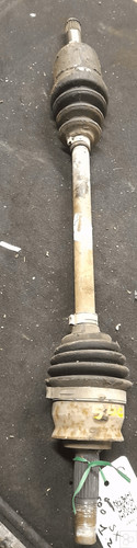 51955481 semialbero ant - 51955481,