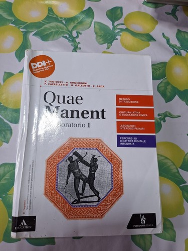Libro scolastico - libro,